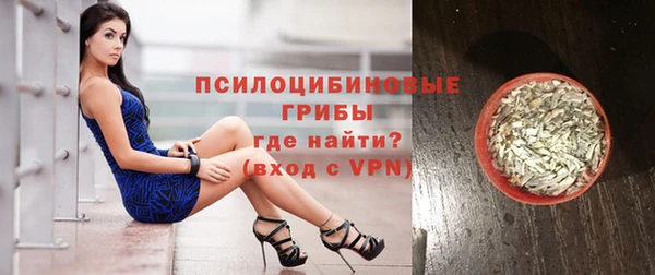 apvp Арсеньев
