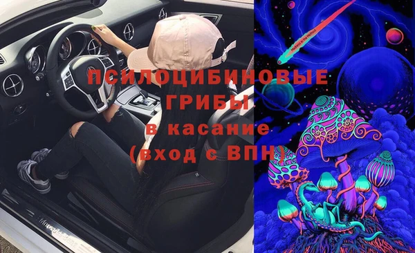 индика Армянск