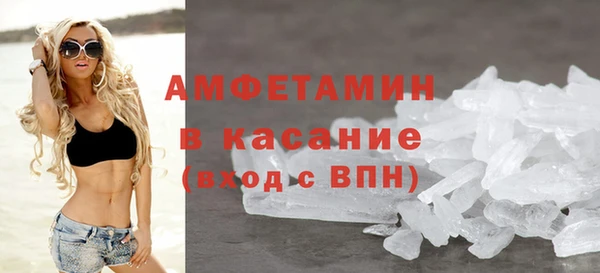 сатива Аркадак