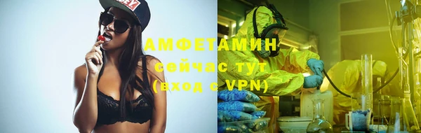 сатива Аркадак