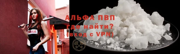 индика Армянск