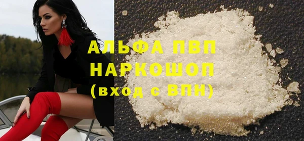 сатива Аркадак