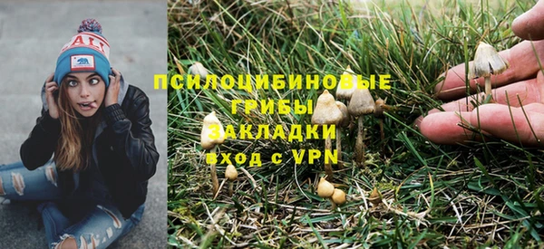 apvp Арсеньев