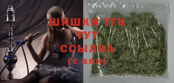 сатива Аркадак