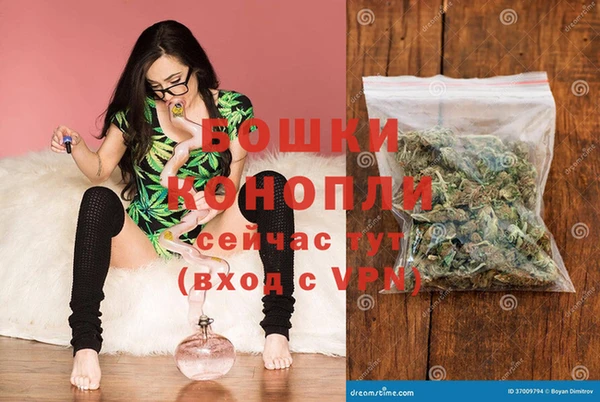 сатива Аркадак