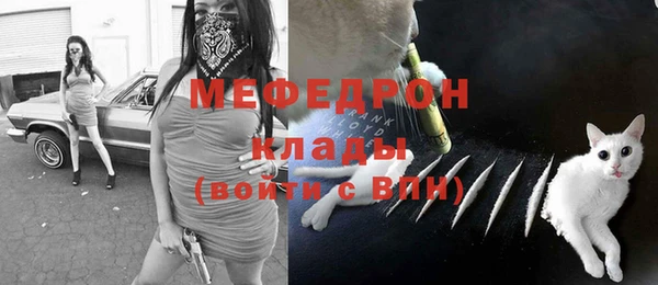 сатива Аркадак