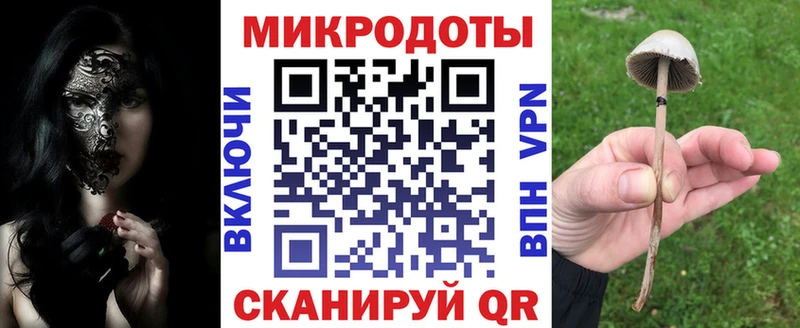 где купить Чайковский Псилоцибиновые грибы Psilocybine cubensis